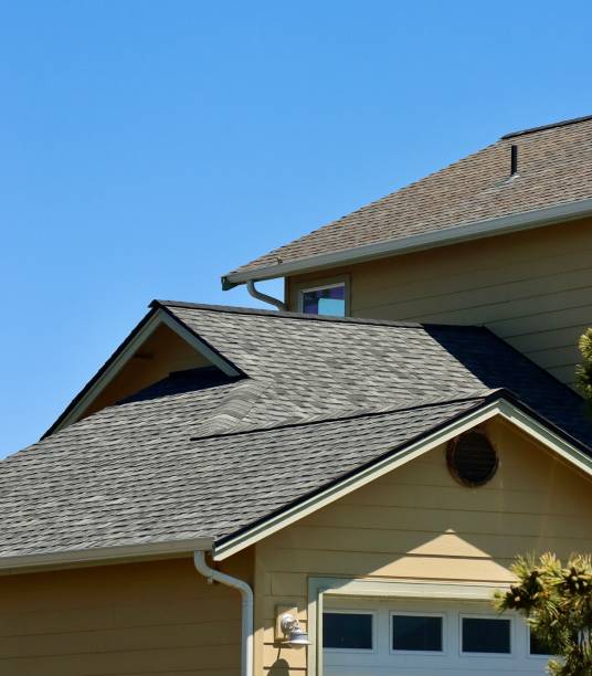 Best Asphalt Shingle Roofing  in Stewartville, MN